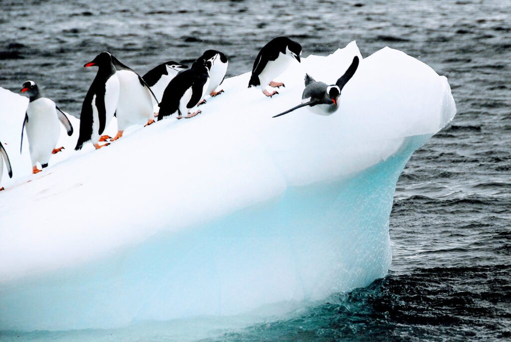 Antarctica