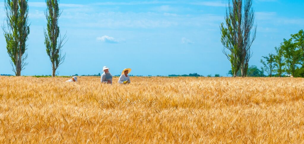 Ukraine Travel Guide