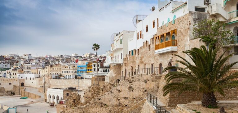Coastal town with whitewashed buildings on a rocky cliff, stairways and palm trees under a blue sky.