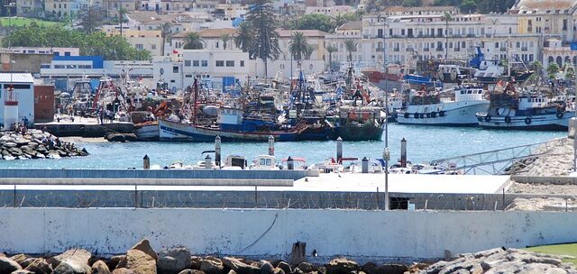 Harbor with numerous fishing boats docked at a marina, with white buildings and a hillside town in the background.