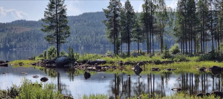 Muddus, Sweden