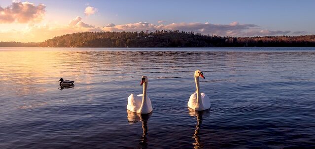 Sweden